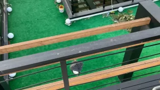 ویلا مدرن فوق العاده