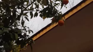 ویلا ارزان ساحلی