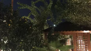 فروش باغ ویلا در سرخرود