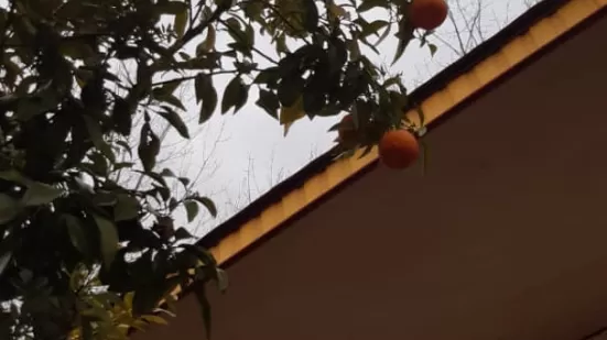 ویلا در چهار محل اهی