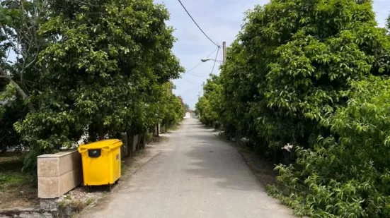 زمین ساحلی ، سند تک برگ