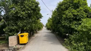 زمین ساحلی ، سند تک برگ