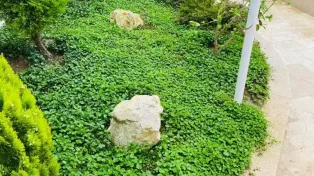 فروش ویلا جنگلی ،سرخرود