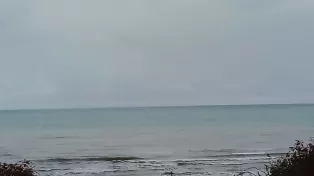 ویلا استخر دار دید به دریا