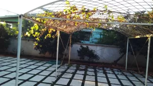 فروش ویلا باغ با سند