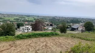 زمین هکتاری پلاک یک جنگل