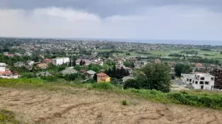 زمین هکتاری پلاک یک جنگل