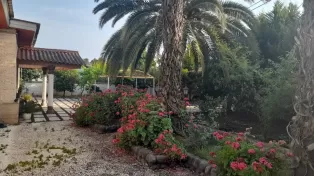 ویلا باغ محموداباد ساحلی
