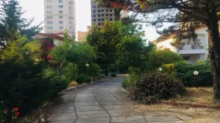 زمین خط دریا مشارکت