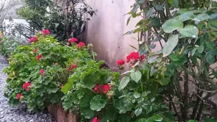 ویلا جاده خانه دریا زیر قیمت
