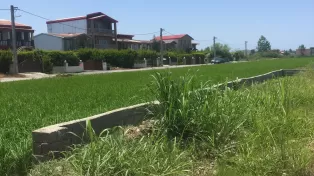 زمین ساحلی به قیمت