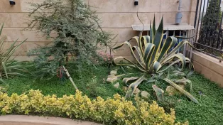ویلا درویش اباد سرخرود خوشنشین