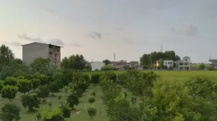 ویلا شهرکی، نما مدرن