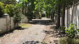 زمین در شهرک صنوبری