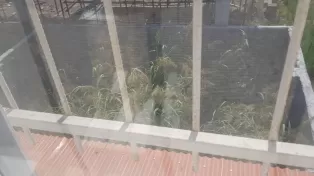 ویلایی خوش ساخت در حاجیکلا