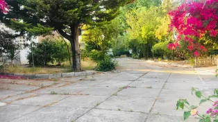 زمین متراژ بالا