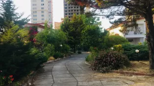 زمین متراژ بالا