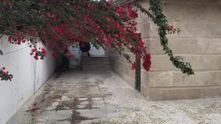 ویلا احمد اباد سرخرود جنب خانه دریا
