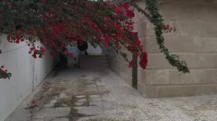 ویلا احمد اباد سرخرود جنب خانه دریا