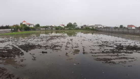 زمین کشاورزی جاده خانه دریا