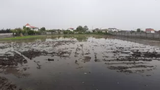 زمین کشاورزی جاده خانه دریا