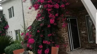 ویلا شهرکی سرخرود