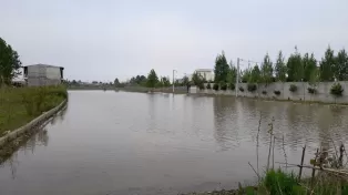 زمین کشاورزی ملاکلا سرخرود داخل بافت
