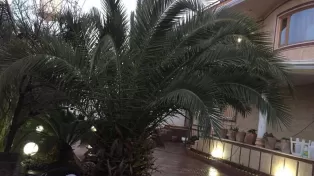 ویلا باغ در ۲۲۰ متری سرخرود