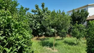 فروش زمین سند دار