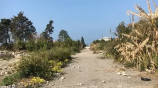 زمین پلاک دوم دریا جهت ساخت شهرک