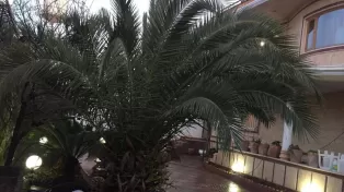 ویلا شهرکی فوق مدرن