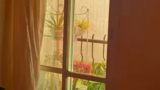 فروش آپارتمان نقلی