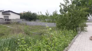 ۲۰۰ متر زمین مسکونی سنددار در سرخرود
