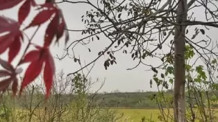 زمین ۲۰.۰۰۰ متری شهرک شده