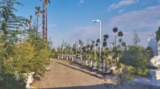 زمین ۲۰.۰۰۰ متری شهرک شده