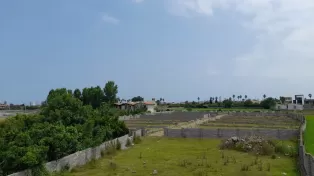 زمین سرخرود شهرکی تفکیکی