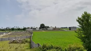 زمین سرخرود شهرکی تفکیکی