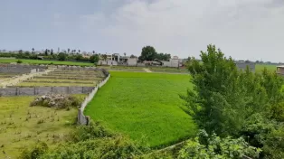 زمین سرخرود شهرکی تفکیکی