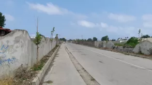 زمین سرخرود شهرکی تفکیکی