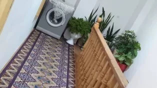 ویلا محموداباد ۴ خواب