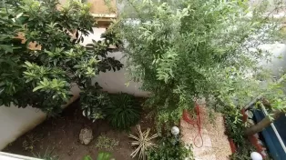 ویلا محموداباد ۴ خواب