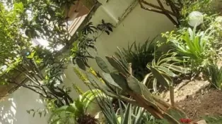 ویلا محموداباد ۴ خواب