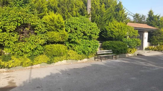 زمین ساحلی ۱۰۰ متر فاصله تا دریا