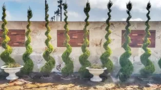 شهرک کامل فروش