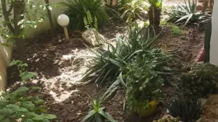 آپارتمان برای فروش