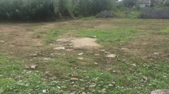 زمین چسبیده به بافت