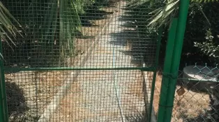 ویلا باغ سرخرود استخر رو باز