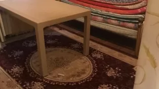 ویلا باغ سرخرود استخر رو باز