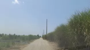 زمین ساحلی