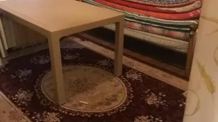 فروش ویلا باغ ساحلی با امکانات عالی